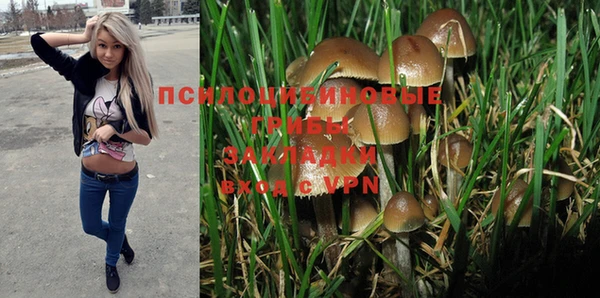 мдпв Бронницы