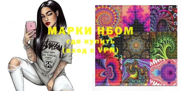 индика Бугульма