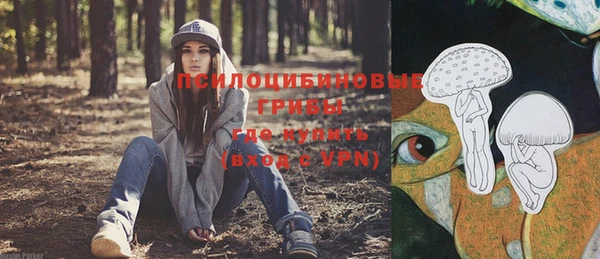 метамфетамин Богданович