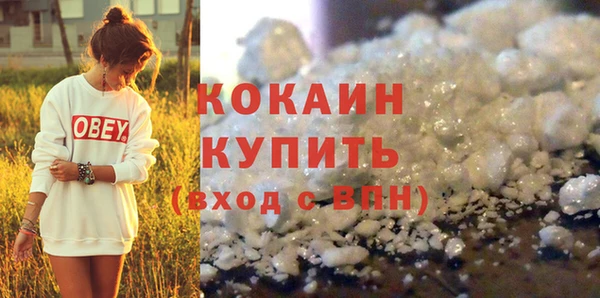 стаф Бородино