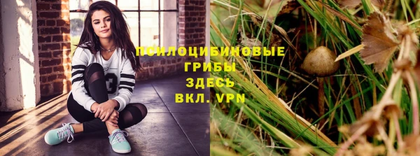 стаф Бородино
