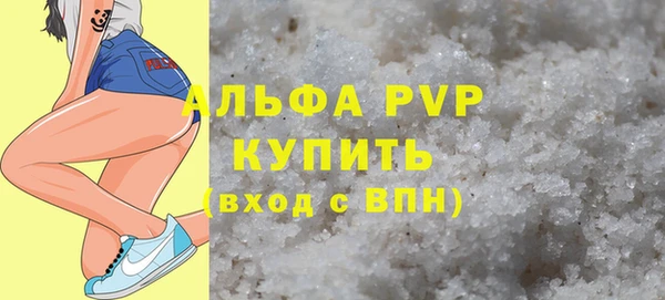 индика Бугульма