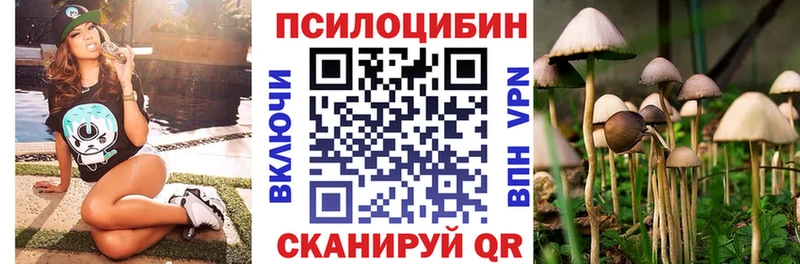 Псилоцибиновые грибы Cubensis  Купить где  Коряжма 